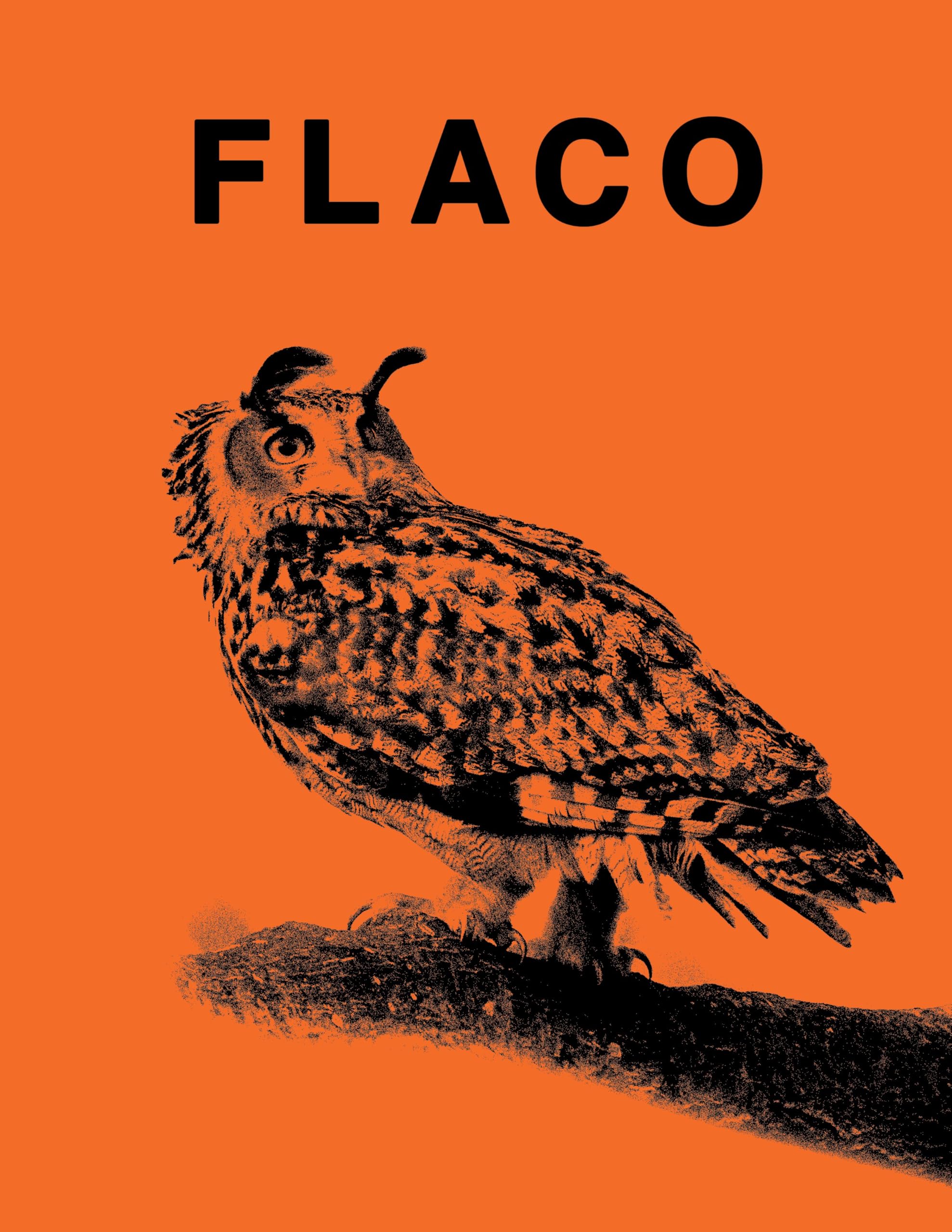 FLACO: The Owl Who Escaped Captivity and Won the Hearts of the World