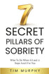 7 SECRET PILLARS OF SOBRIETY — used book cover