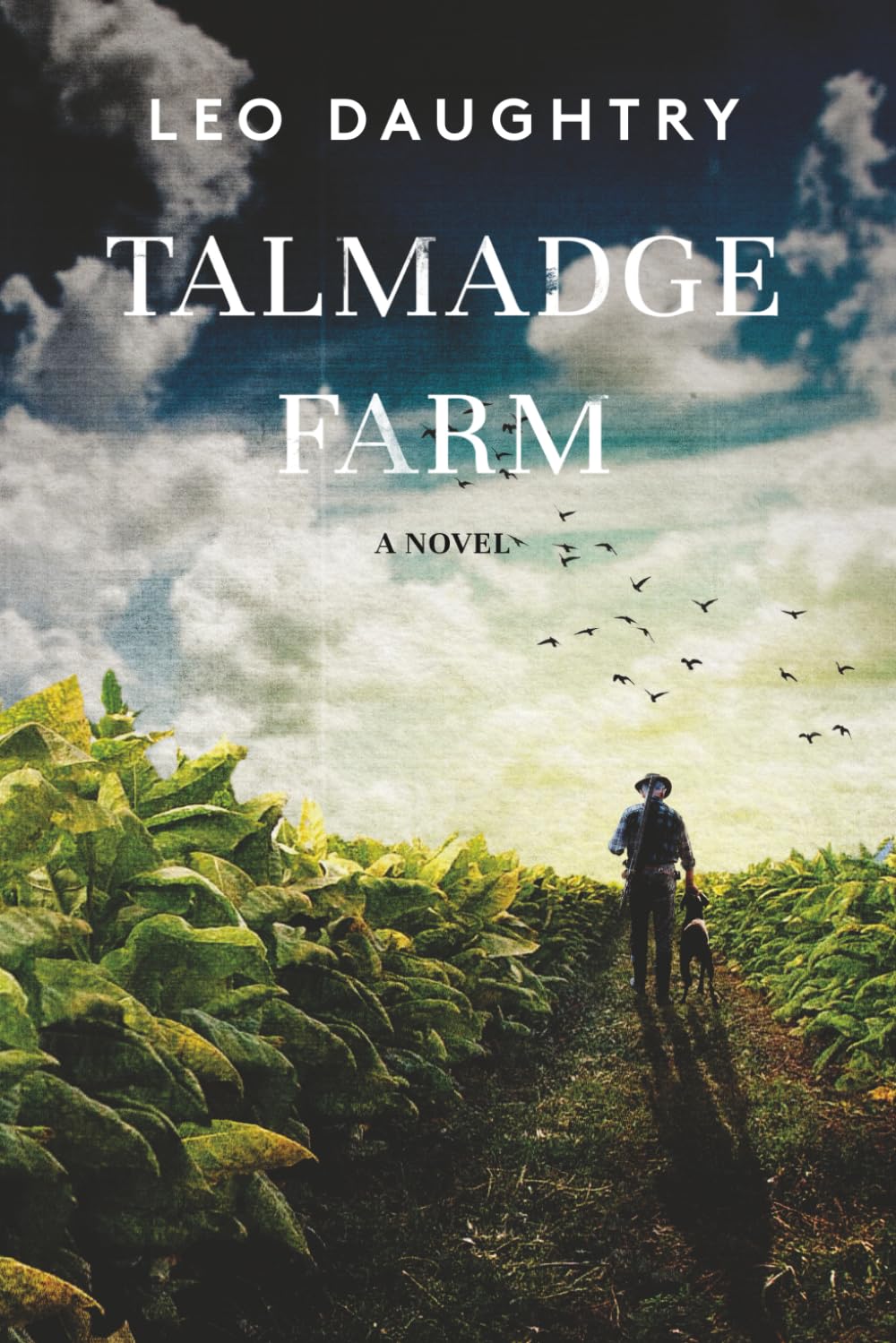 Talmadge Farm