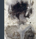 Stones to Stains — used book cover