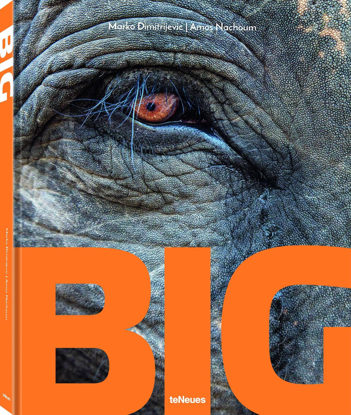 Big: A Photographic Album of the World&