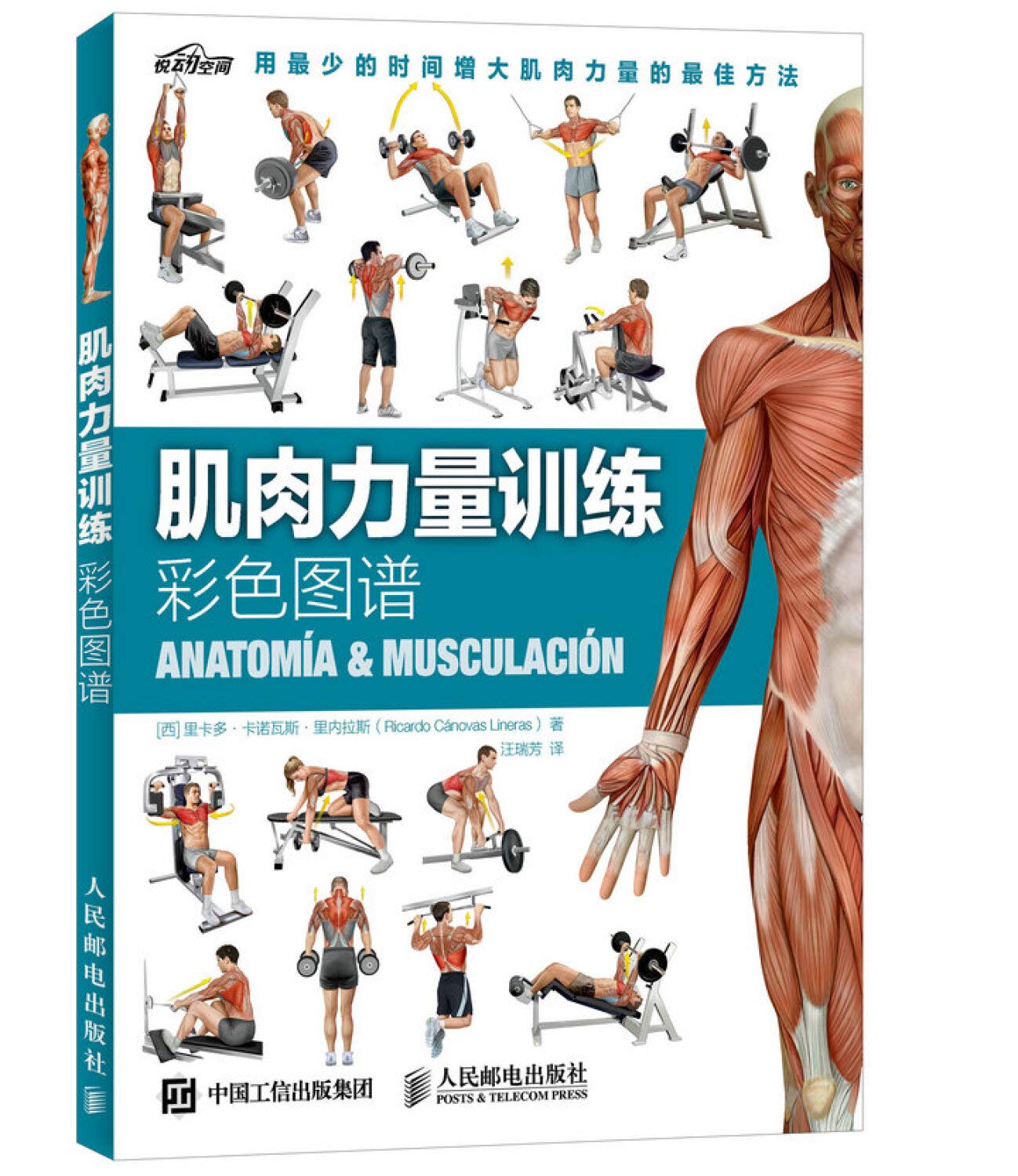 Color Atlas of muscle strength training — used book cover