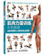 Color Atlas of muscle strength training — used book cover