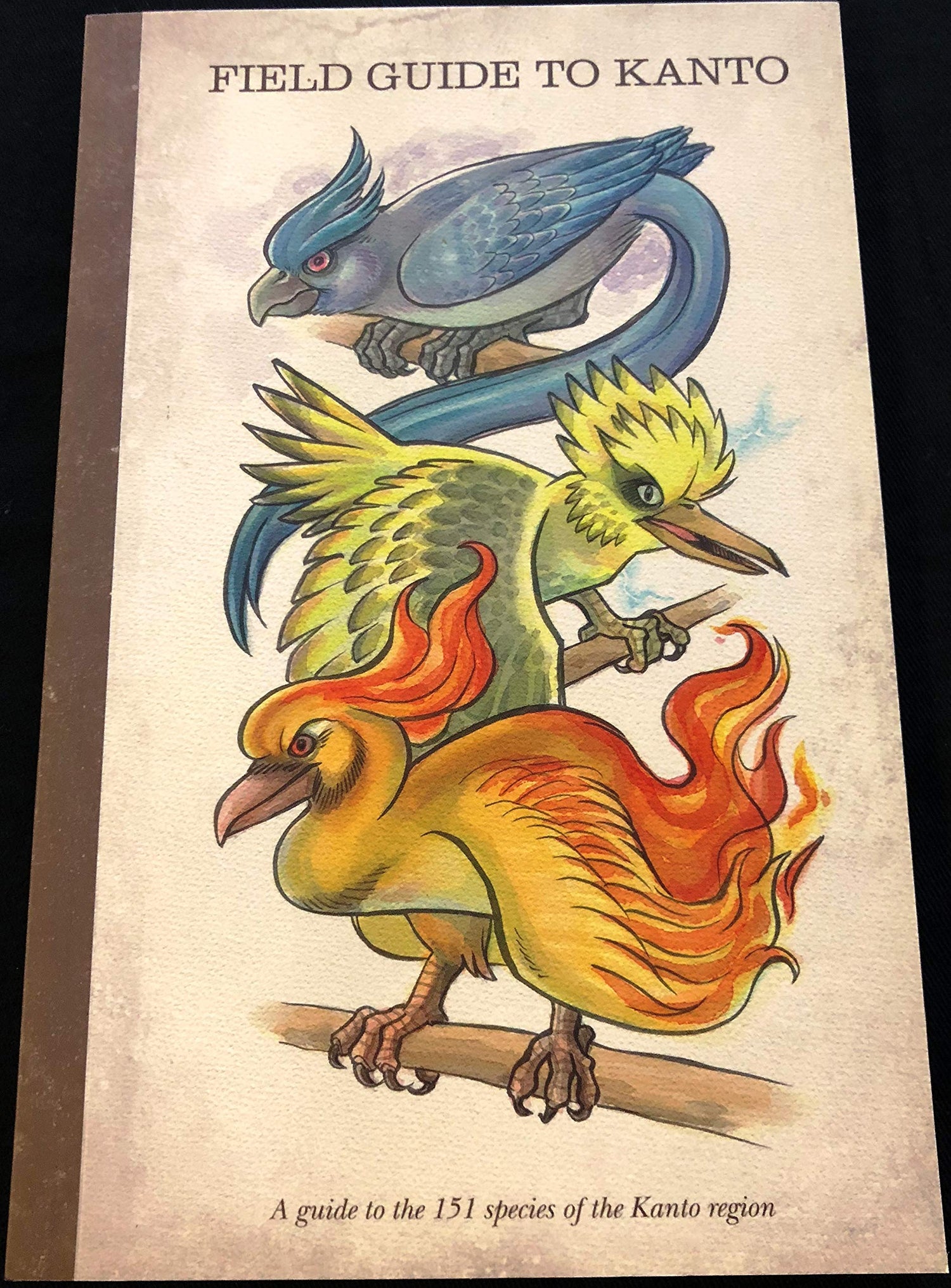 Field Guide to Kanto — used book cover
