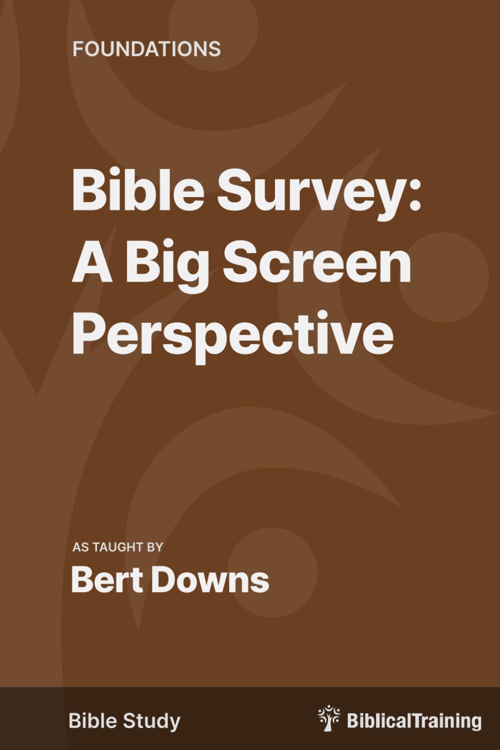 Bible Survey: A Big Screen Approach — used book cover