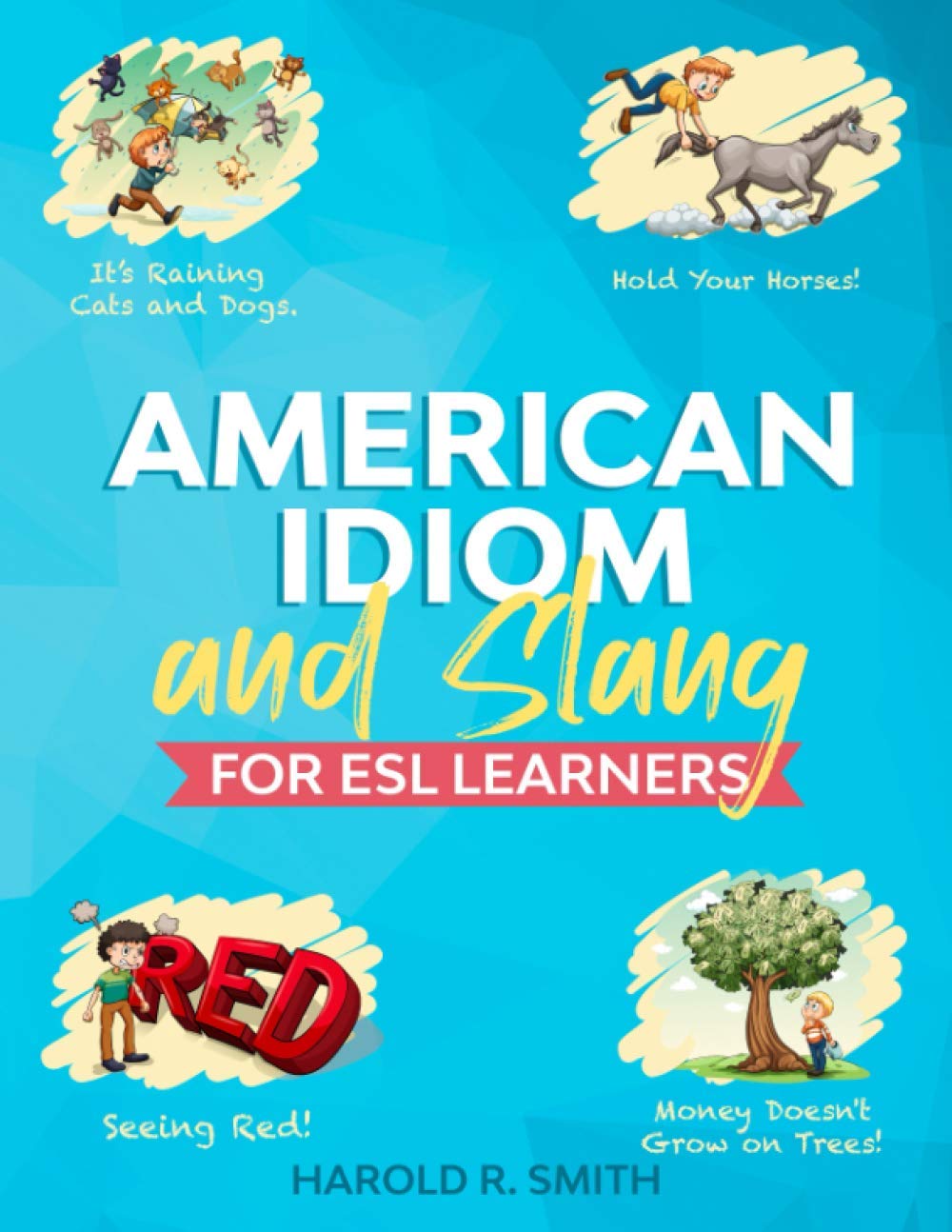 American Idiom and Slang for ESL Learners — used book cover