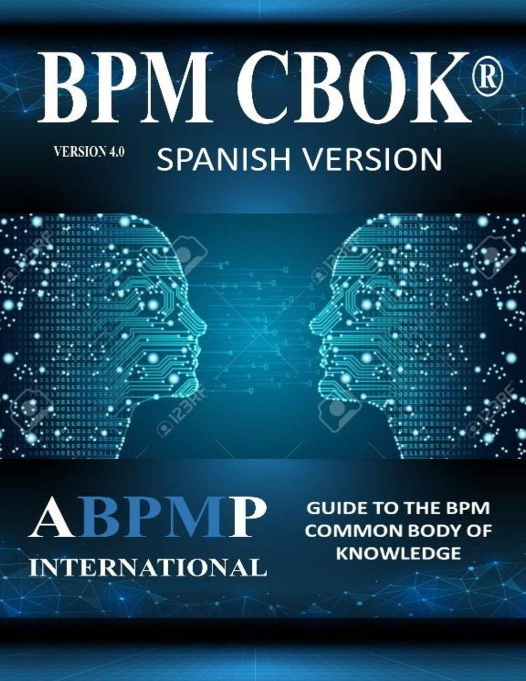 BPM CBOK Version 4.0 — used book cover