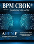 BPM CBOK Version 4.0 — used book cover