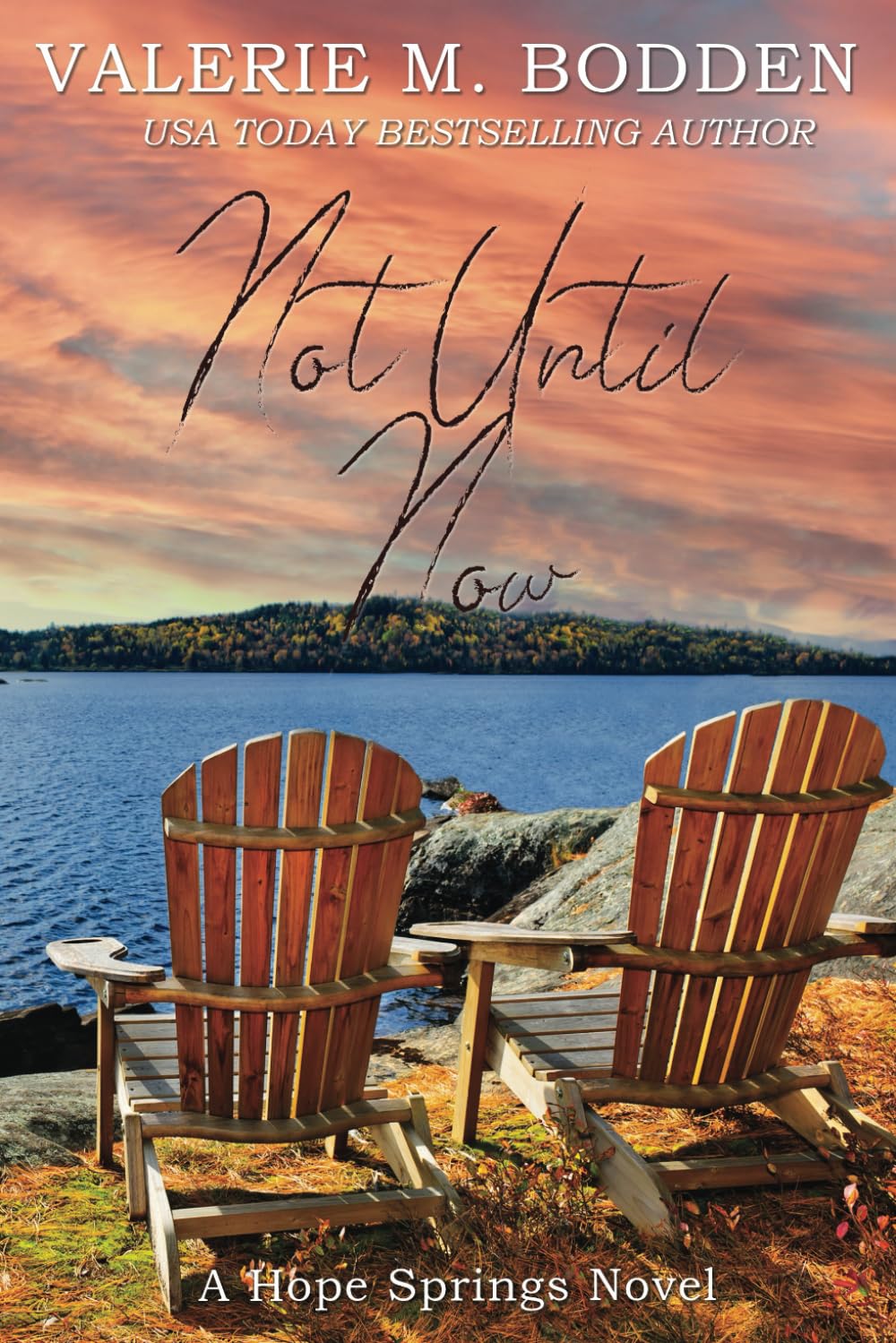 Not Until Now — used book cover