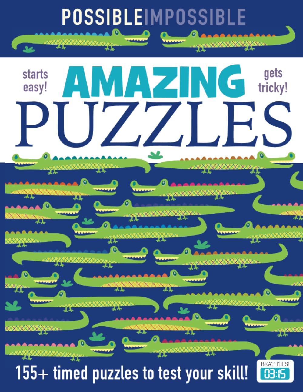 Possible Impossible AMAZING PUZZLES — used book cover