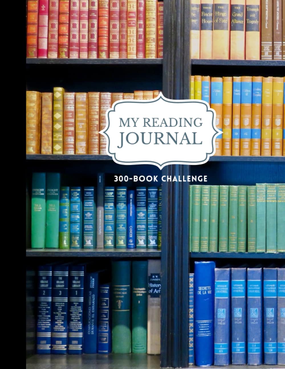 Big &amp; Thick 300-Book Reading Challenge Journal (Vintage Library): DIY Challenges and Trackers for Book Lovers