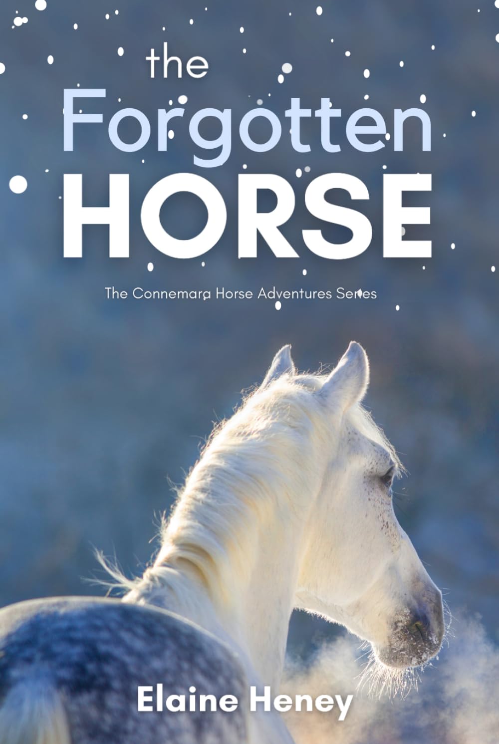 The Forgotten Horse - Book 1 in the Connemara Horse Adventure Series for Kids. The perfect gift for children age 8-12. — used book cover