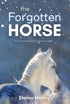 The Forgotten Horse - Book 1 in the Connemara Horse Adventure Series for Kids. The perfect gift for children age 8-12. — used book cover