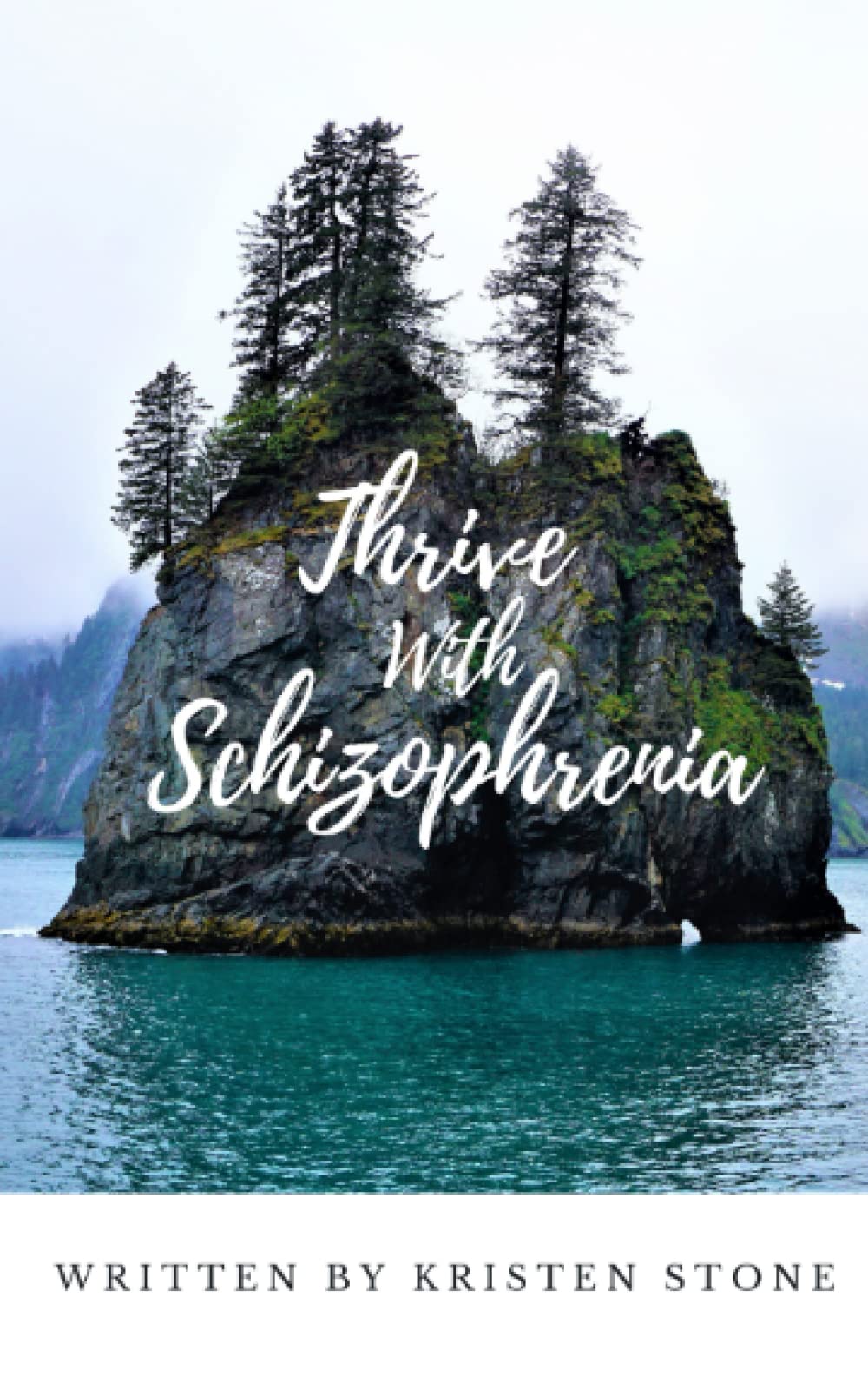 Thrive With Schizophrenia — used book cover
