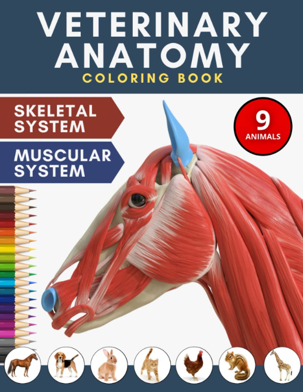 Veterinary Anatomy Coloring Book — used book cover