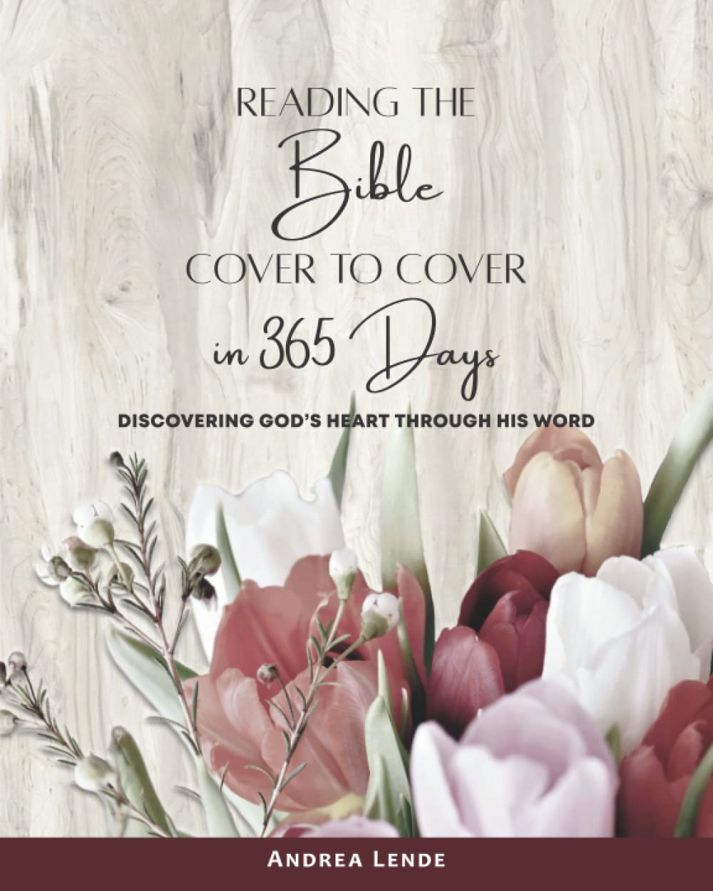 Reading the Bible Cover to Cover in 365 Days — used book cover