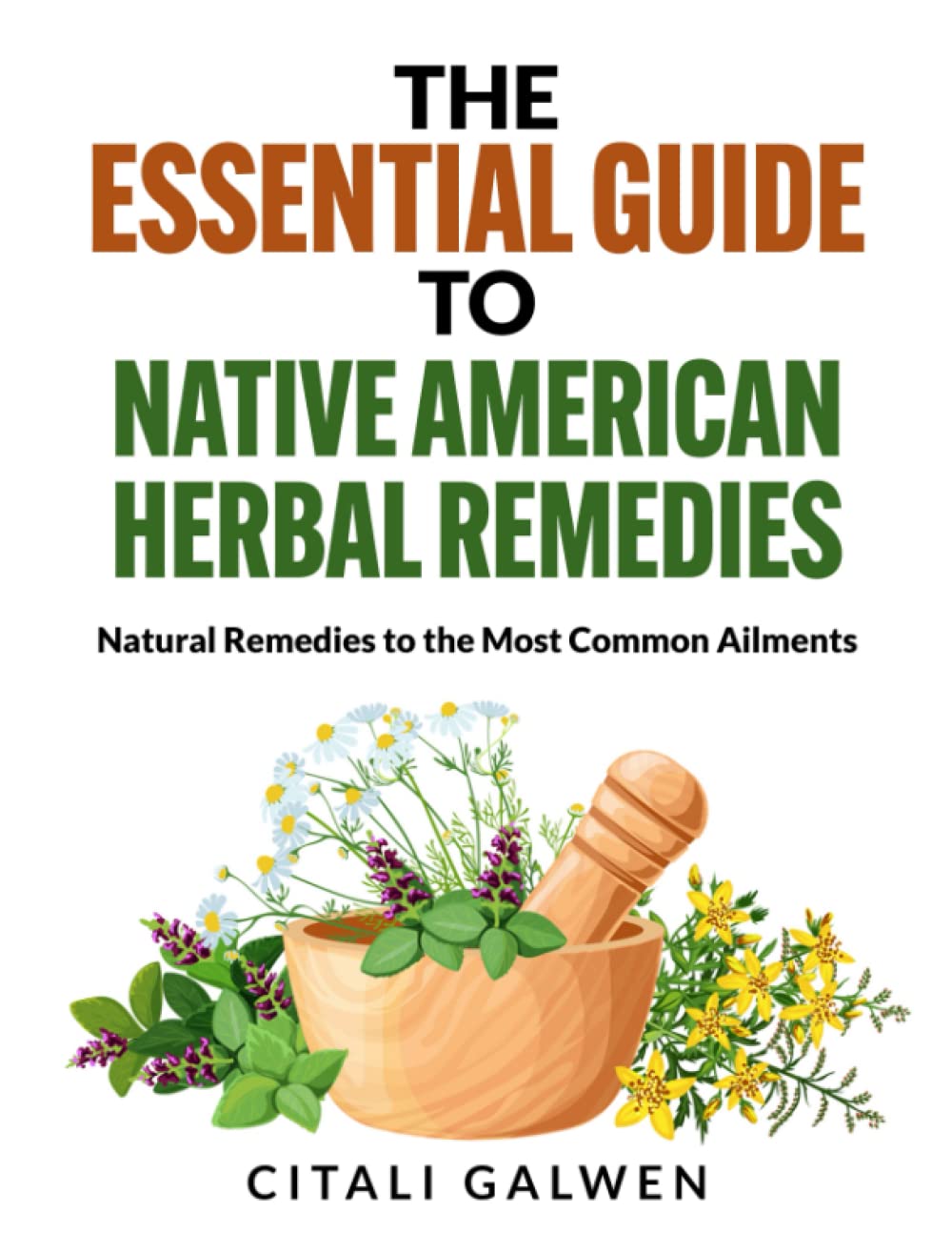 The Essential Guide to Native American Herbal Remedies: Natural Remedies to the Most Common Ailments