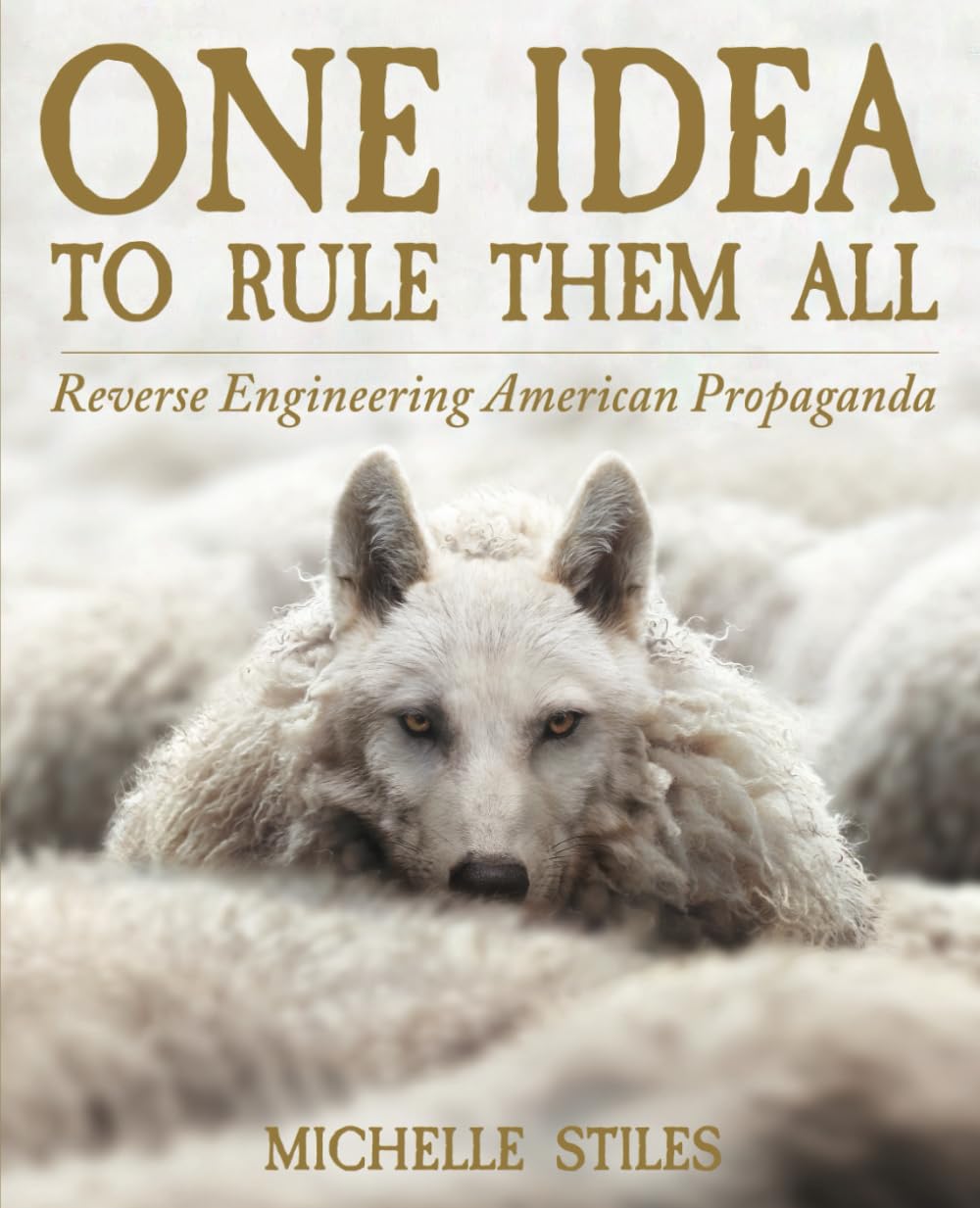 One Idea To Rule Them All — used book cover