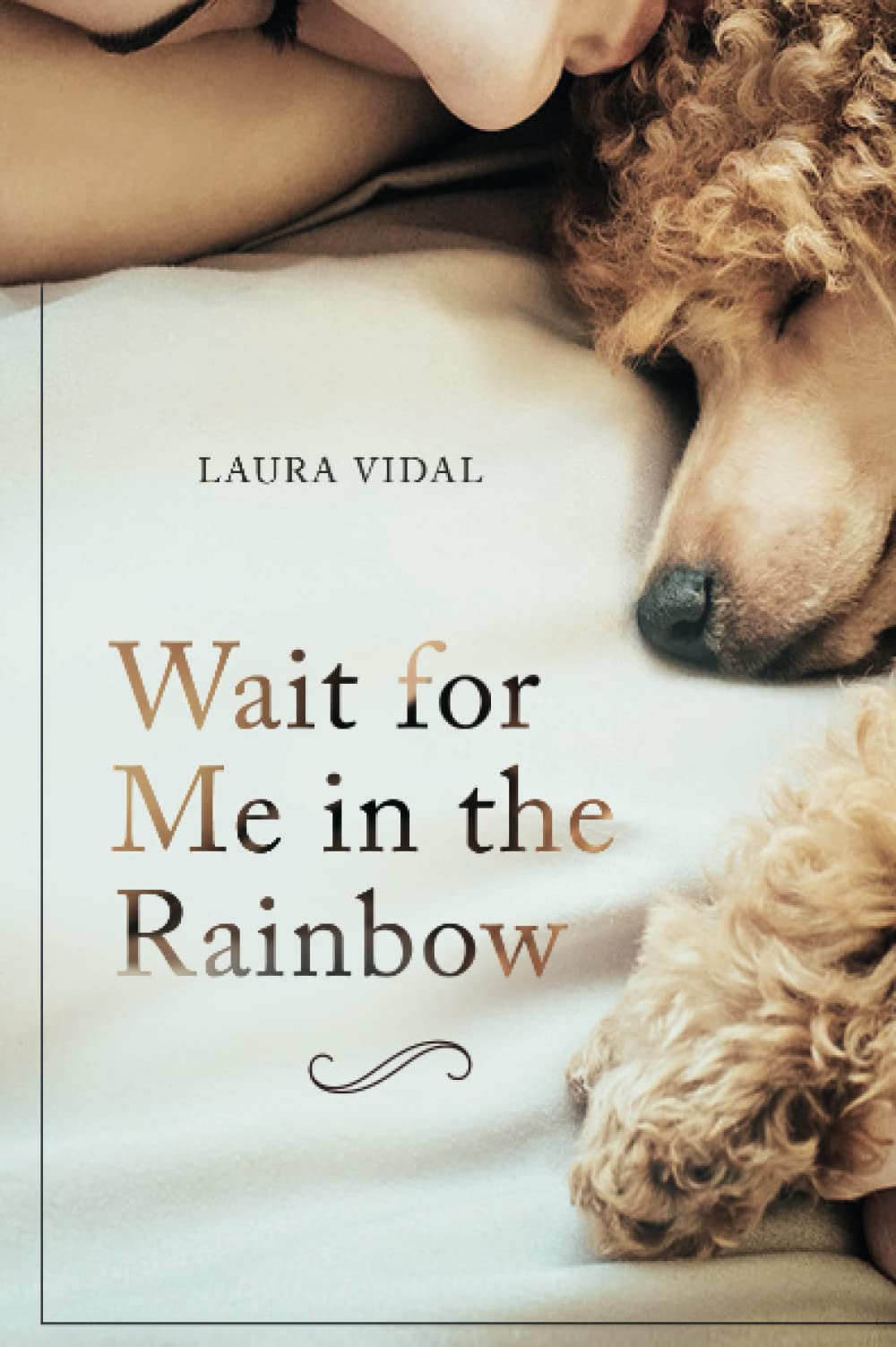 Wait for Me in the Rainbow — used book cover