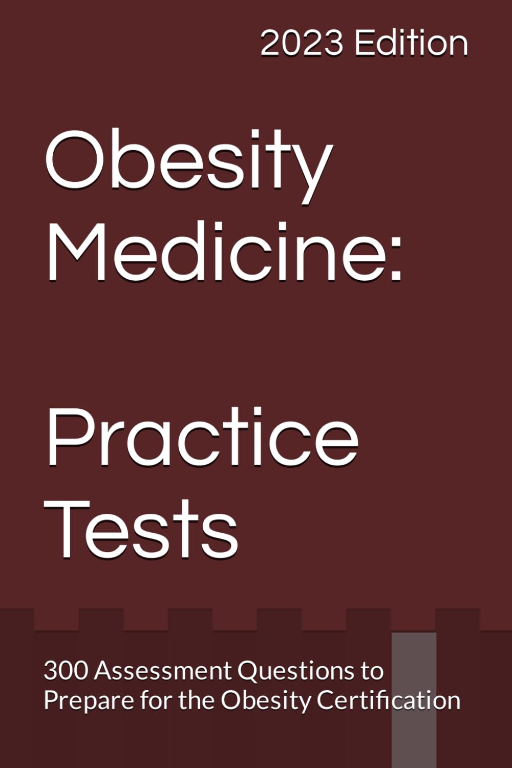 Obesity Medicine: Practice Tests: 300 Assessment Questions to Prepare for the Obesity Certification — used book cover
