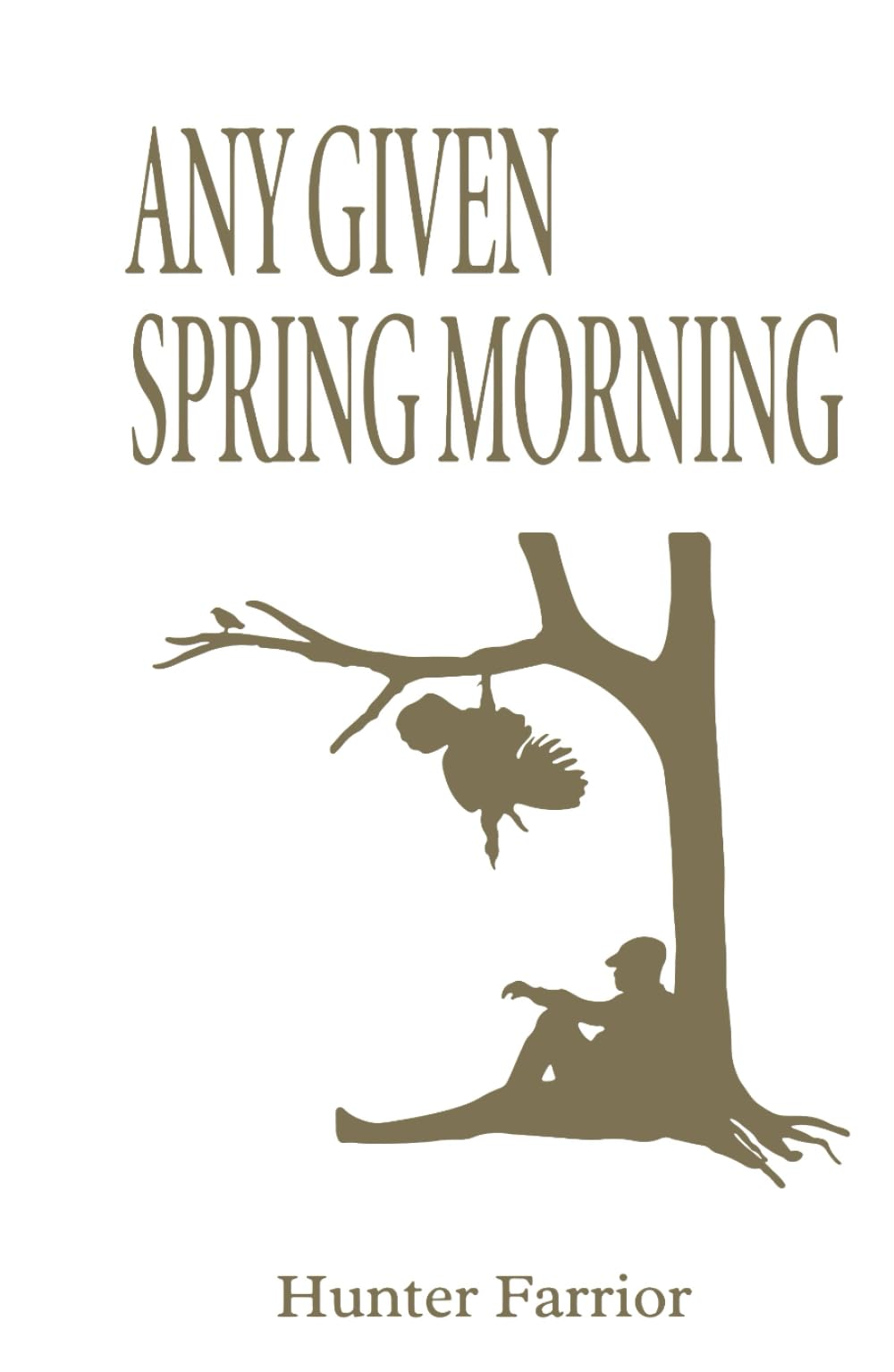 Any Given Spring Morning — used book cover