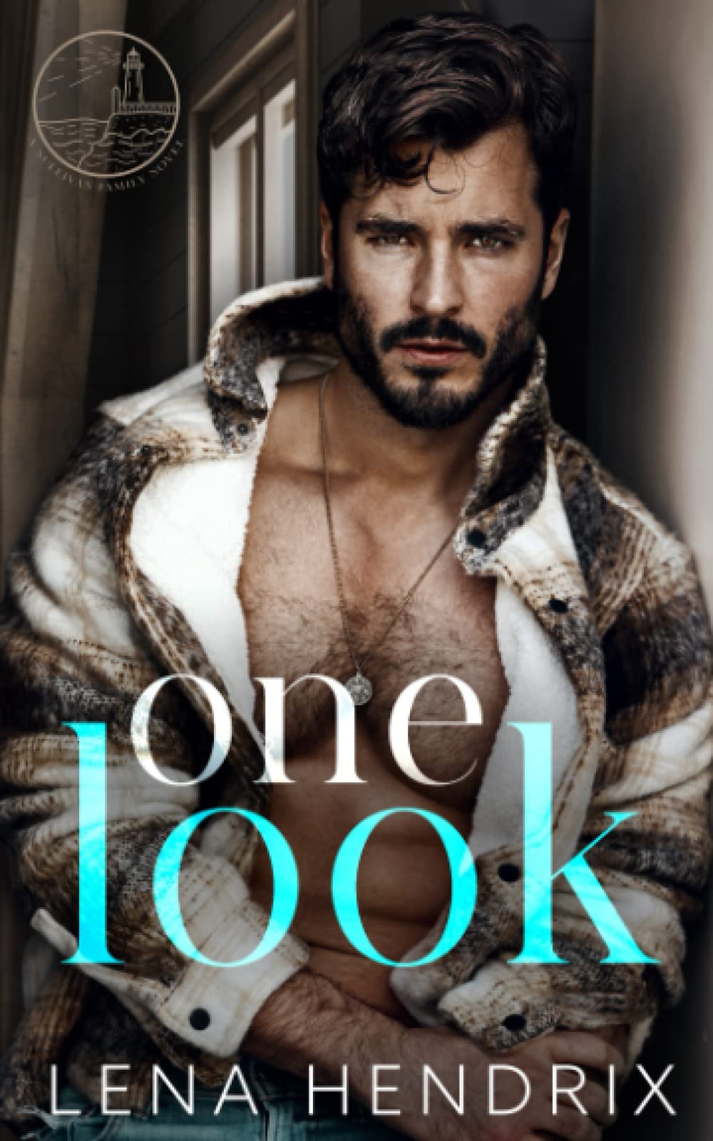 One Look: A grumpy, single dad small town romance (The Sullivan Family)
