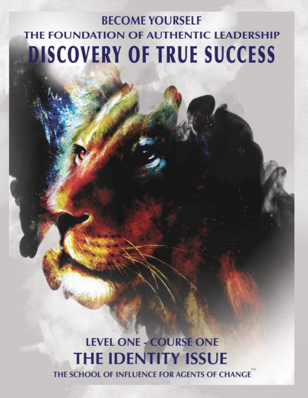 The Identity Issue — used book cover