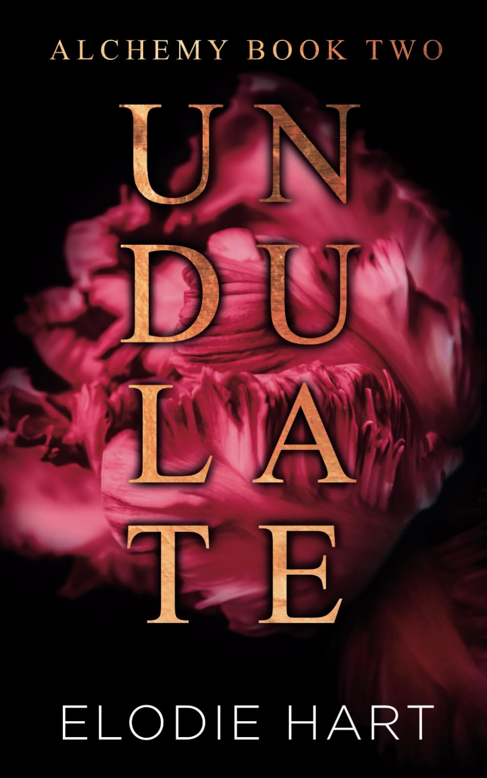 Undulate: A Hot Age Gap, Single Dad Romance — used book cover