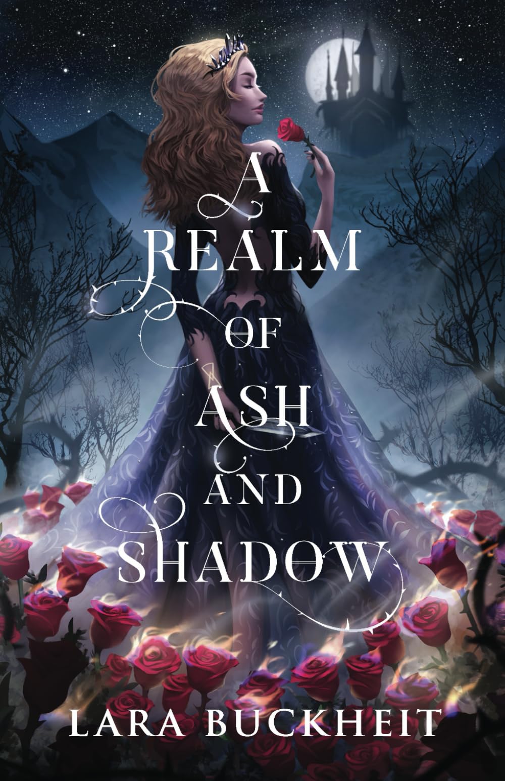 A Realm of Ash and Shadow — used book cover