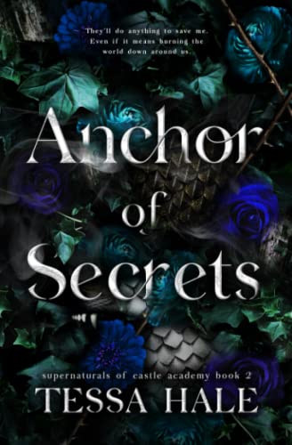 Anchor of Secrets — used book cover