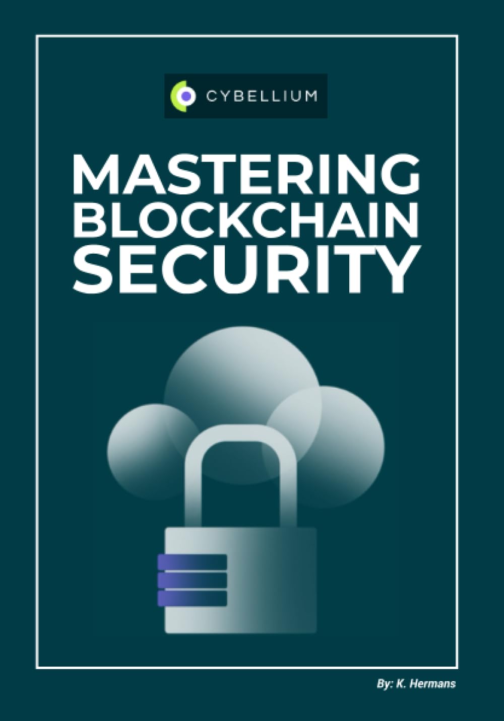 Mastering Blockchain Security — used book cover