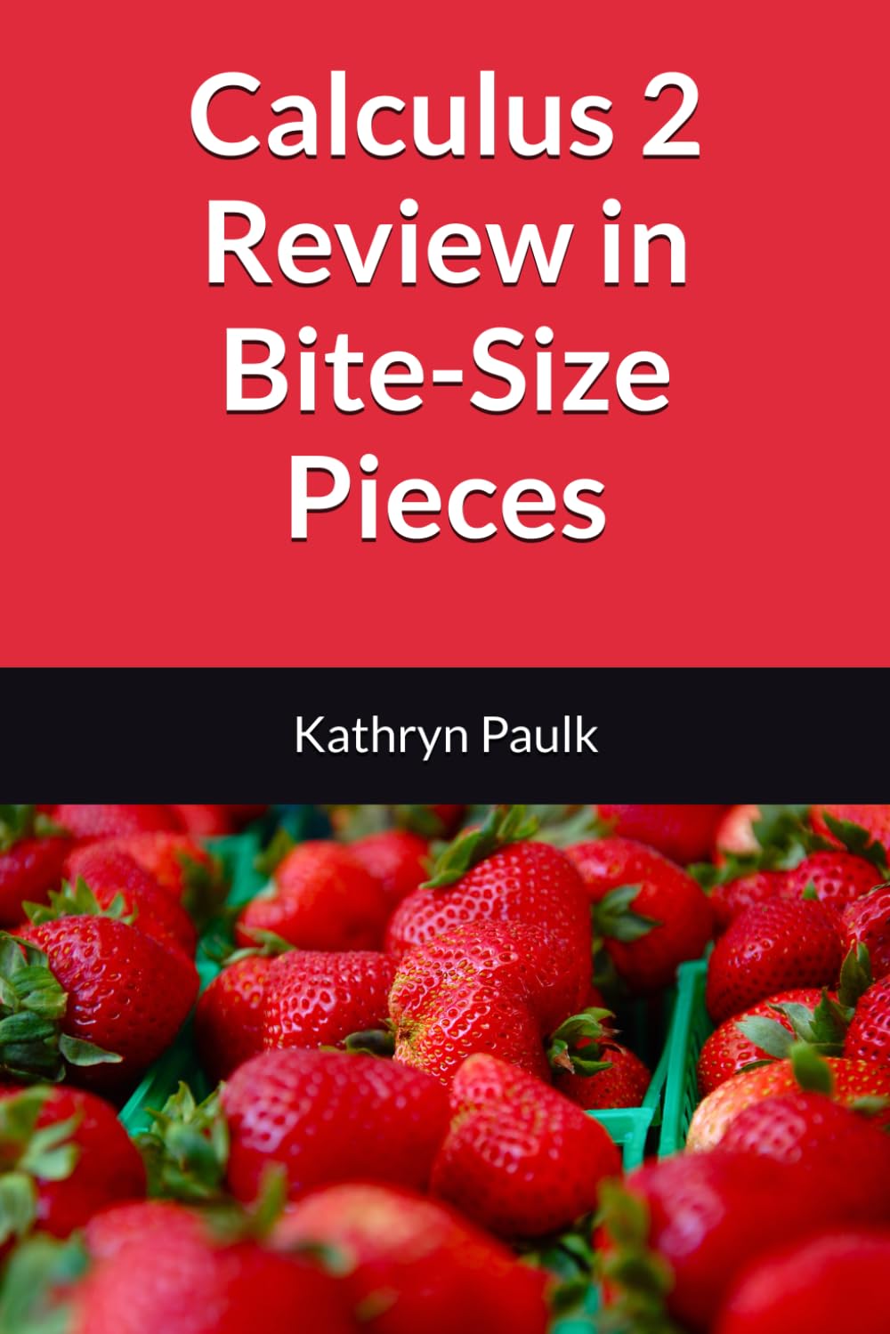Calculus 2 Review in Bite-Size Pieces — used book cover