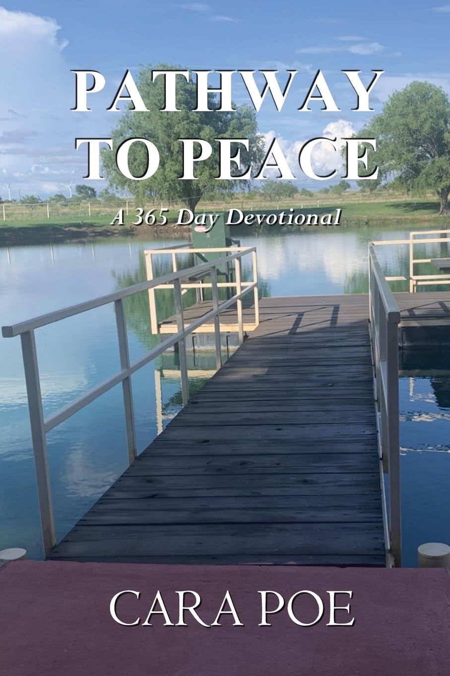 Pathway to Peace — used book cover