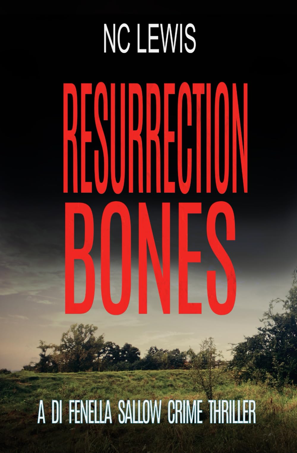 Resurrection Bones (A DI Fenella Sallow Crime Thriller)