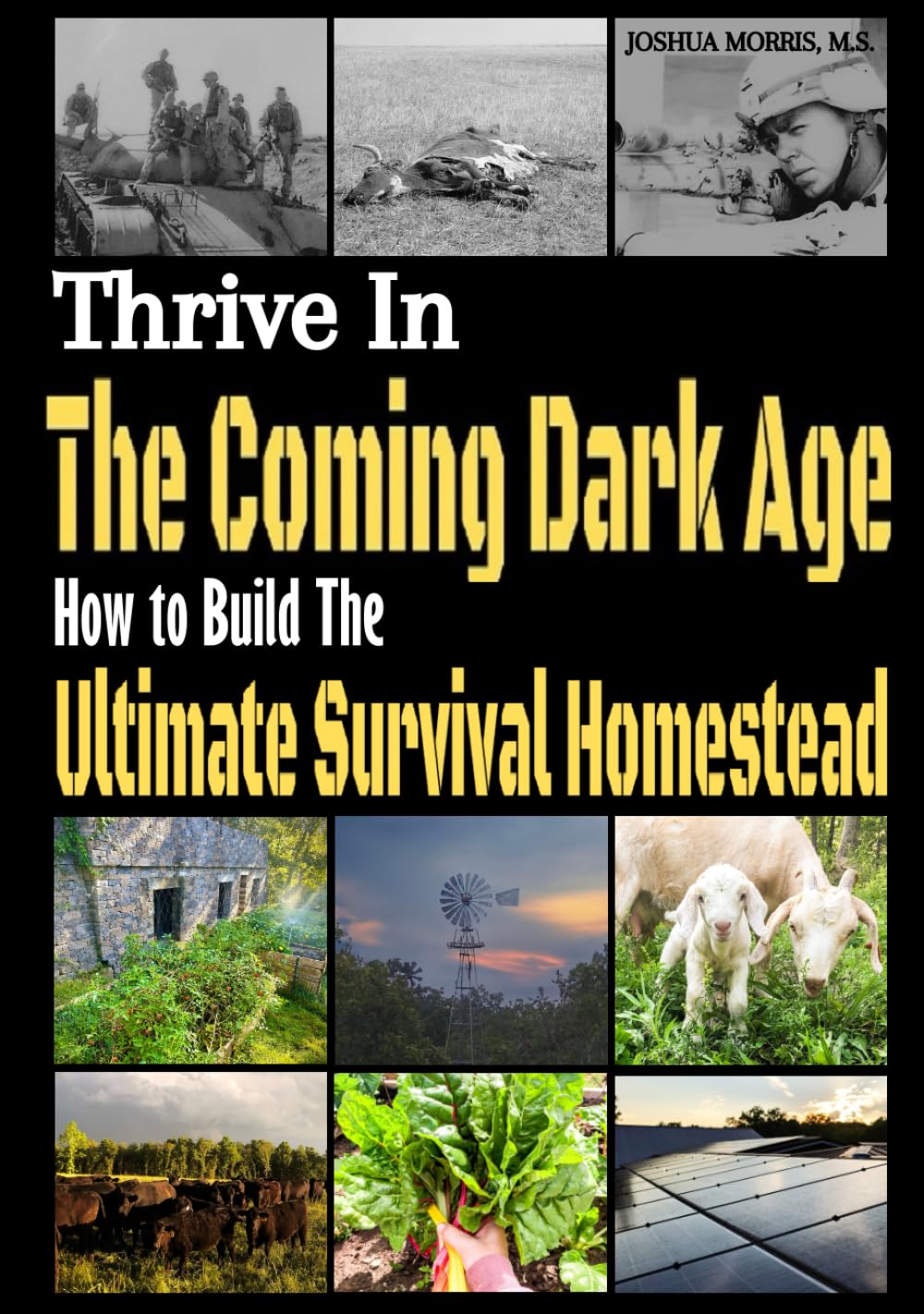 Thrive in the Coming Dark Age: How to Build the Ultimate Survival Homestead