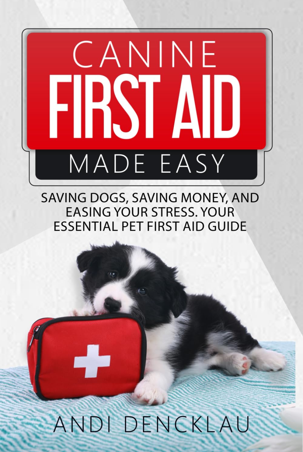 Canine First Aid Made Easy — used book cover