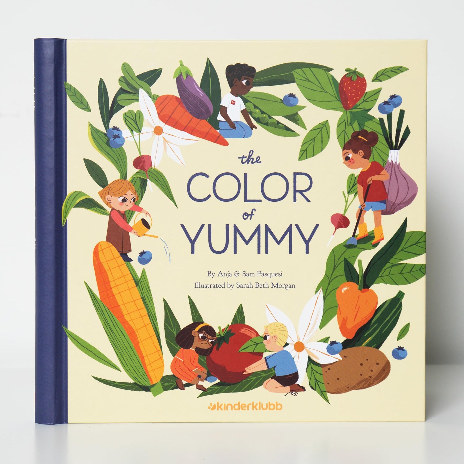 The Color of Yummy — used book cover