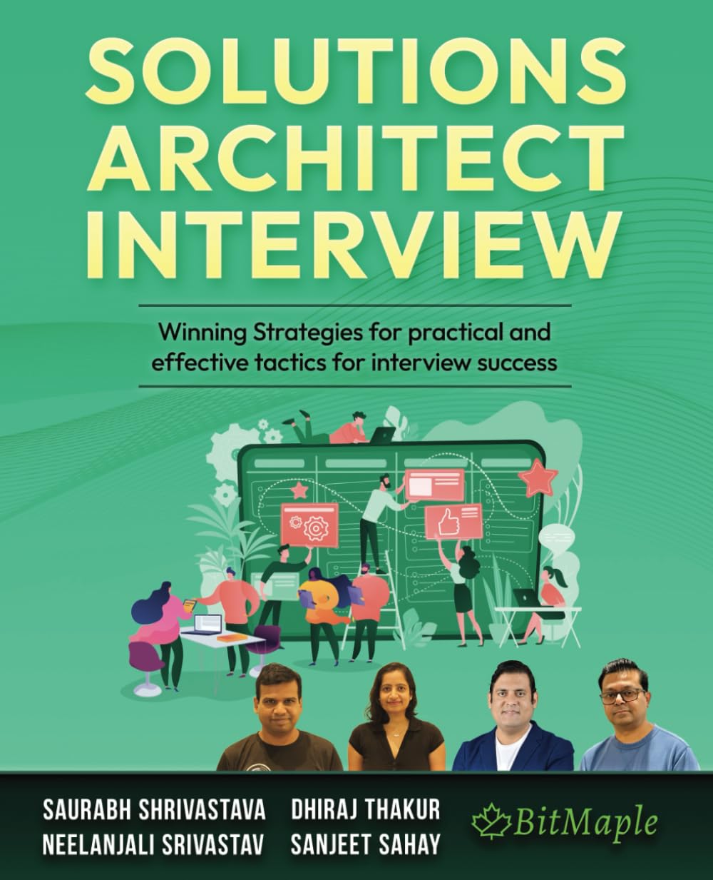 Solutions Architect Interview — used book cover
