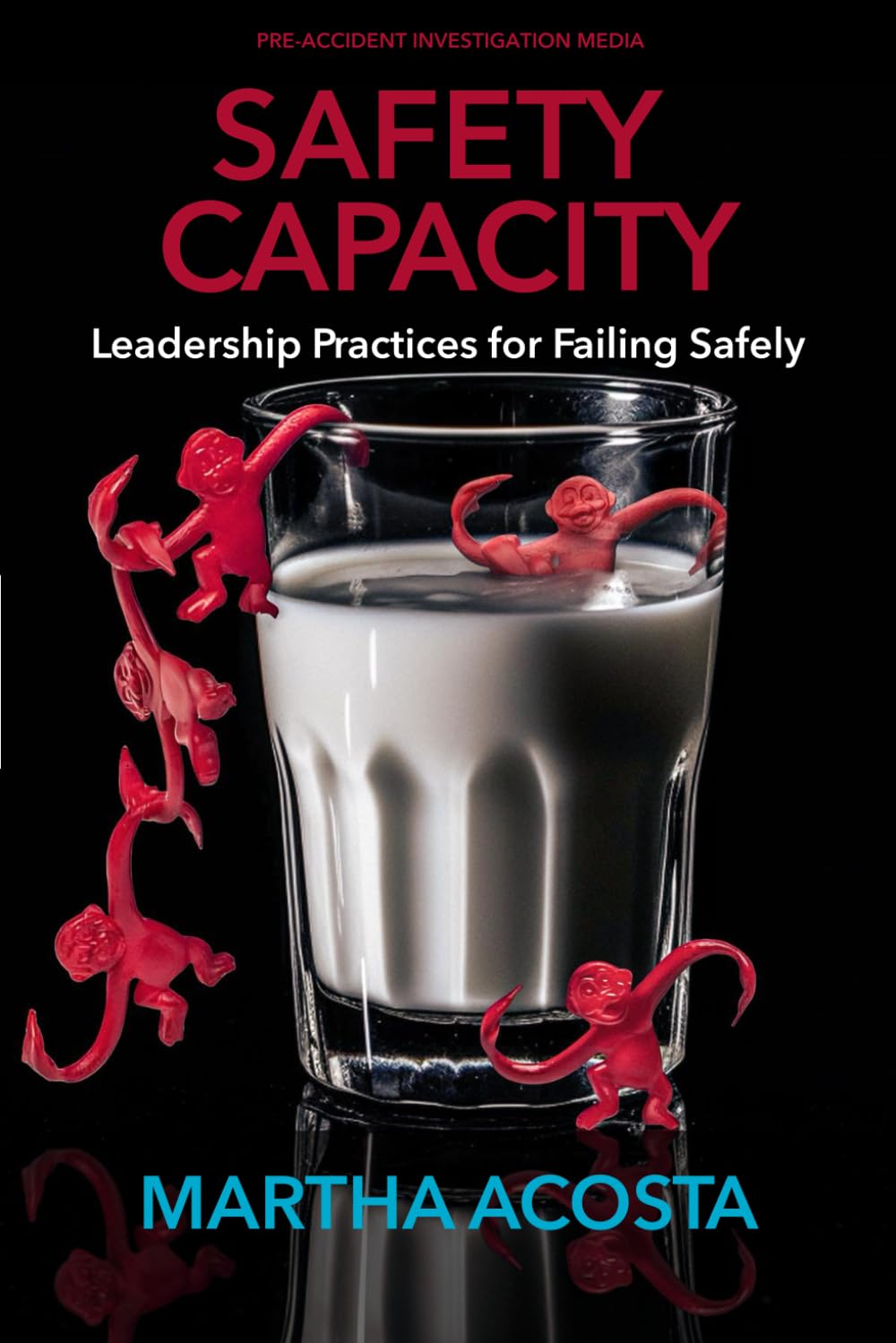 SAFETY CAPACITY: Leadership Practices for Failing Safely — used book cover