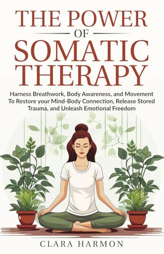 The Power of Somatic Therapy — used book cover