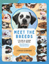 Paws and Colors — used book cover