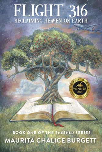 Flight 316: Reclaiming heaven on Earth — used book cover
