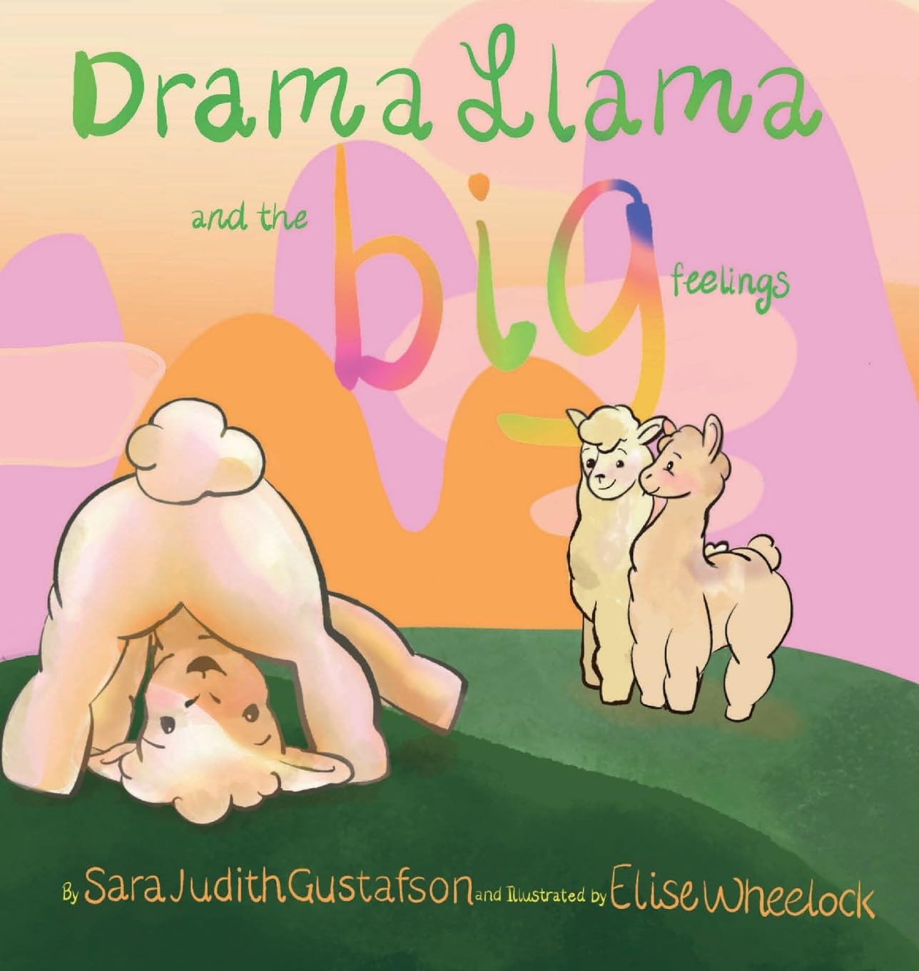 Drama Llama and the Big Feelings — used book cover