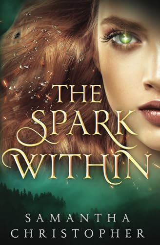 The Spark Within — used book cover
