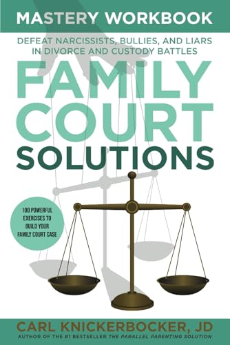Family Court Solutions Mastery Workbook — used book cover