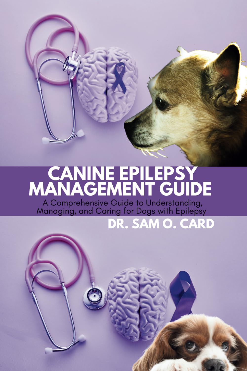 CANINE EPILEPSY MANAGEMENT GUIDE — used book cover