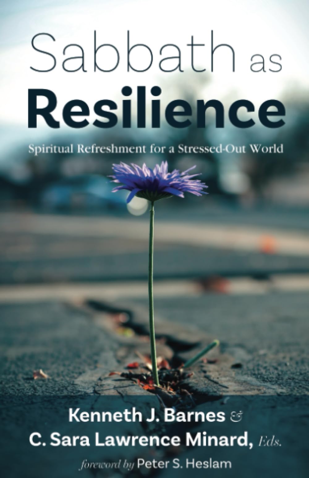 Sabbath as Resilience — used book cover