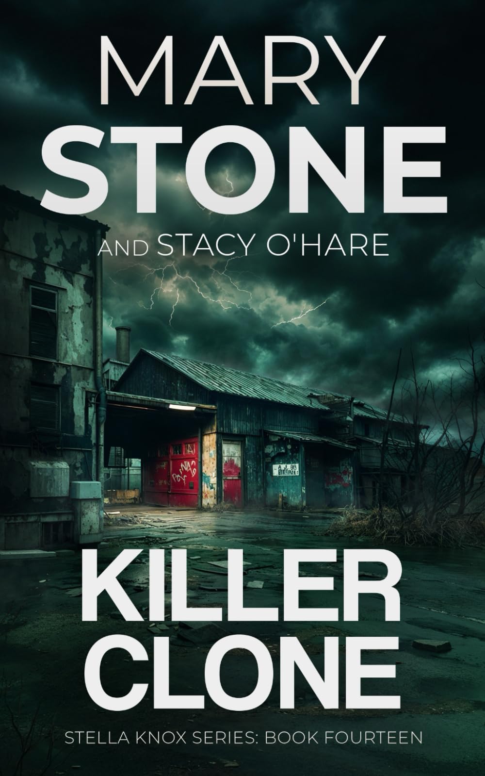 Killer Clone (Stella Knox FBI Mystery Series)