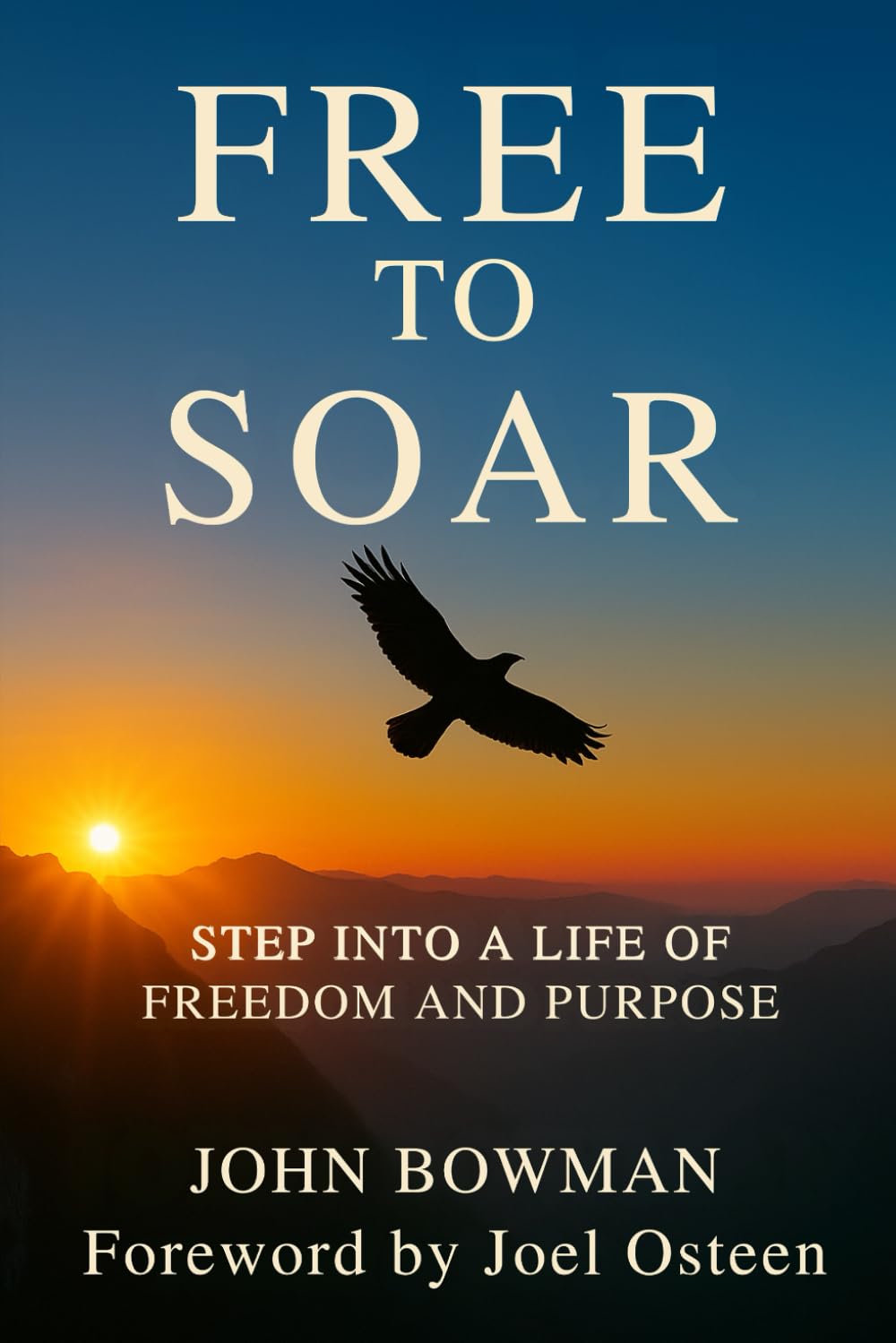 Free to Soar — used book cover