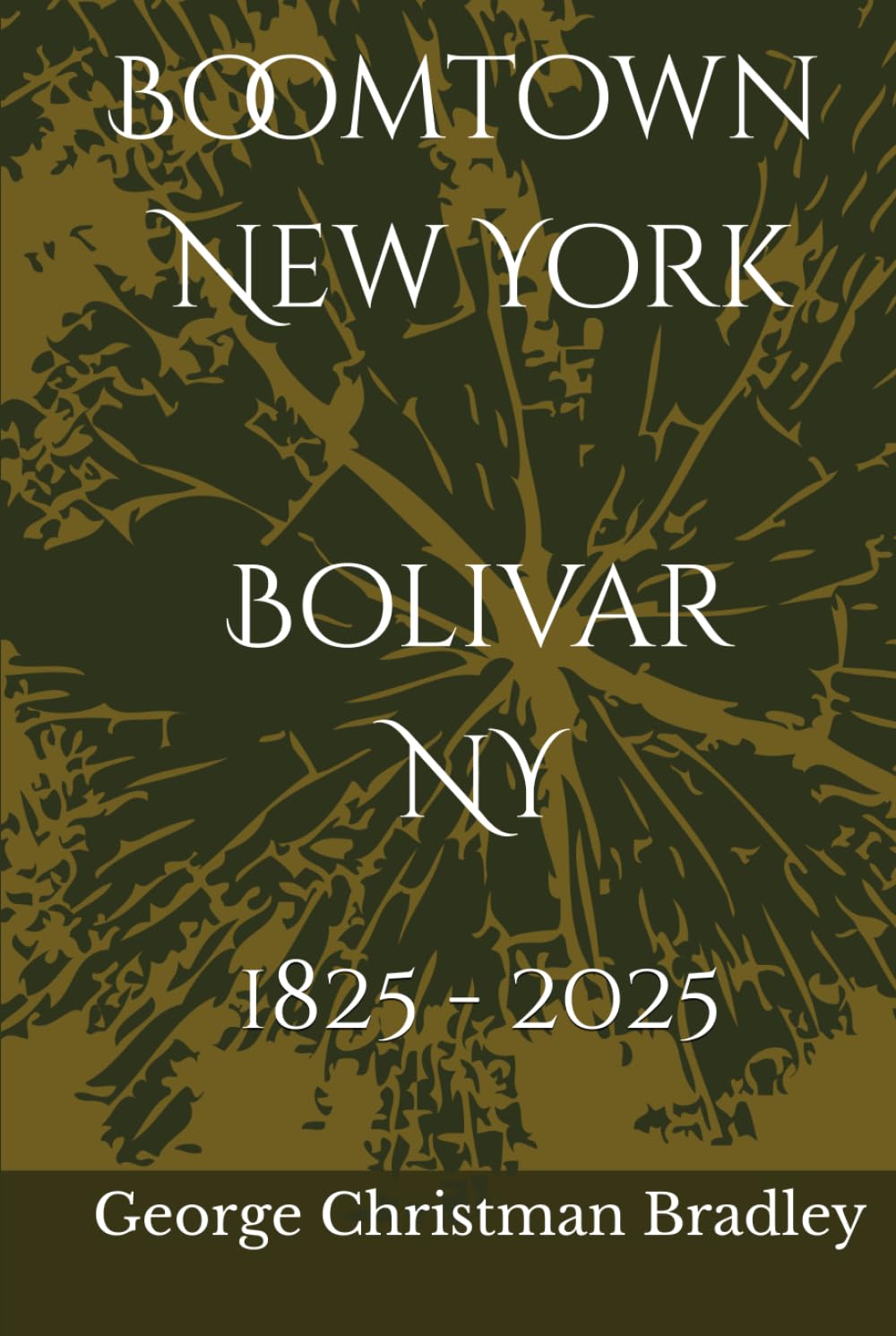Boomtown New York: Bolivar NY 1825-2025